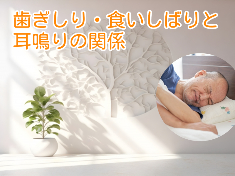歯ぎしり・食いしばりと耳鳴り