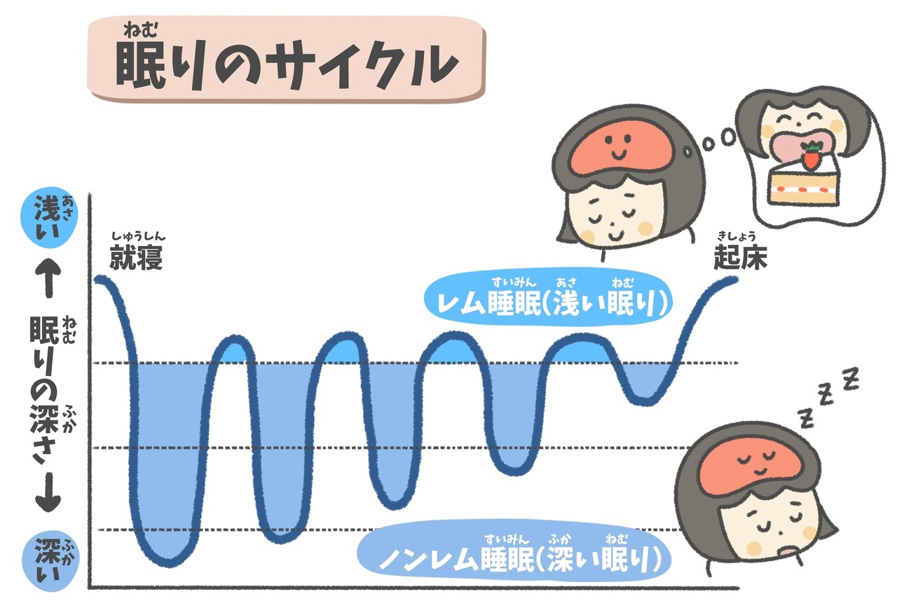 レム睡眠とノンレム睡眠