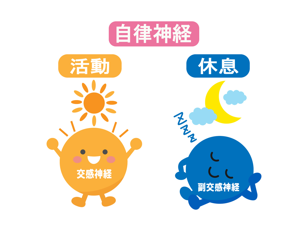 自律神経を乱す原因