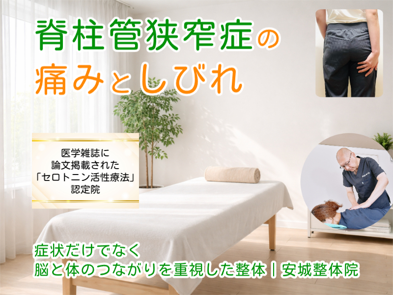 安城市で脊柱管狭窄症の整体なら安城整体院