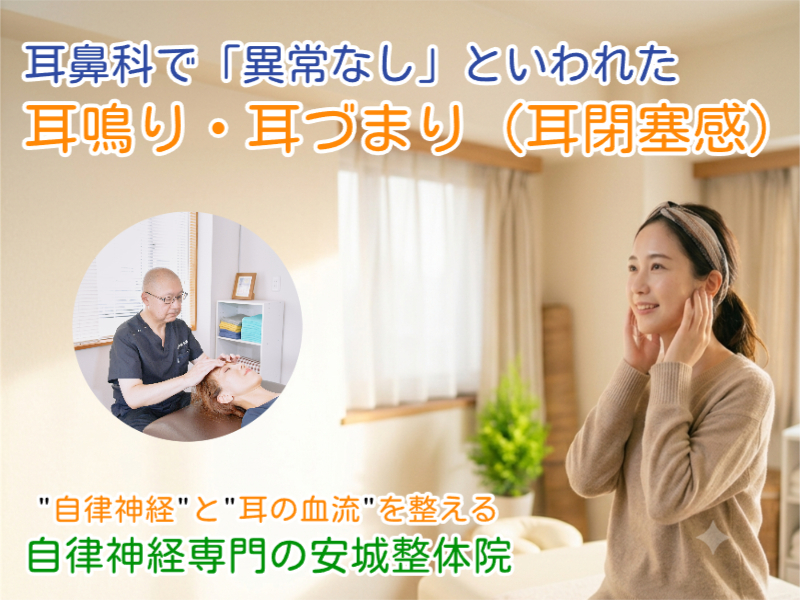 耳鳴り・耳づまりなら安城整体院