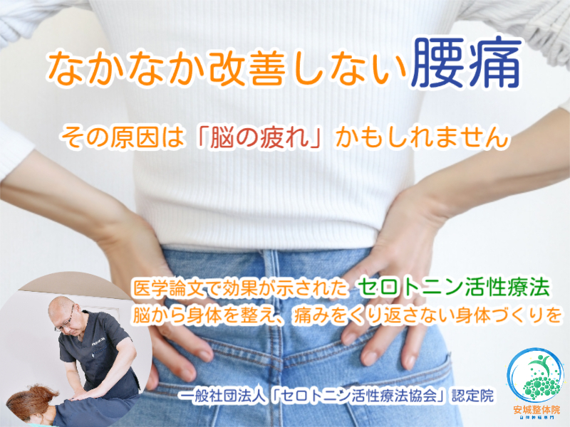 慢性腰痛なら安城整体院