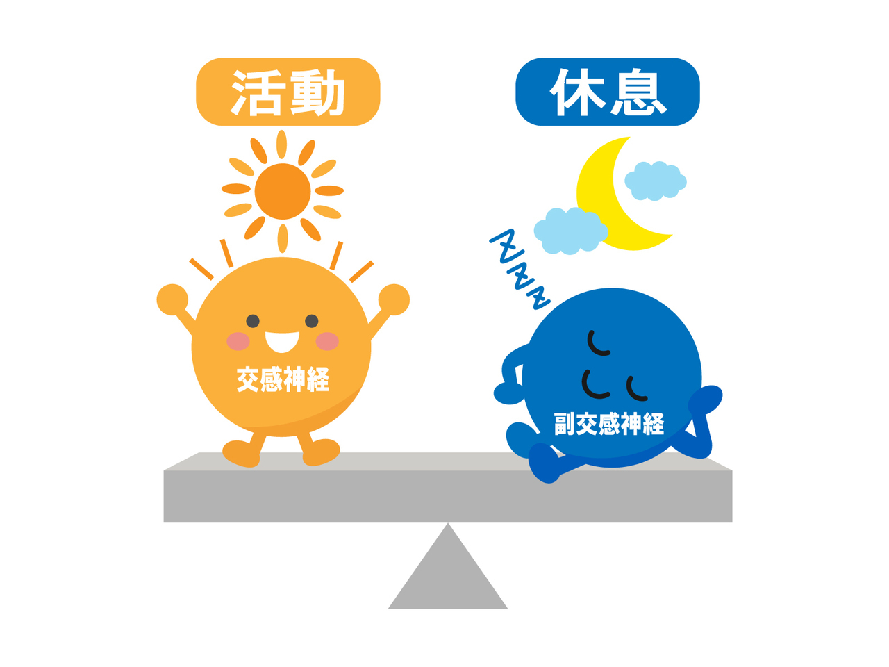 自律神経の安定