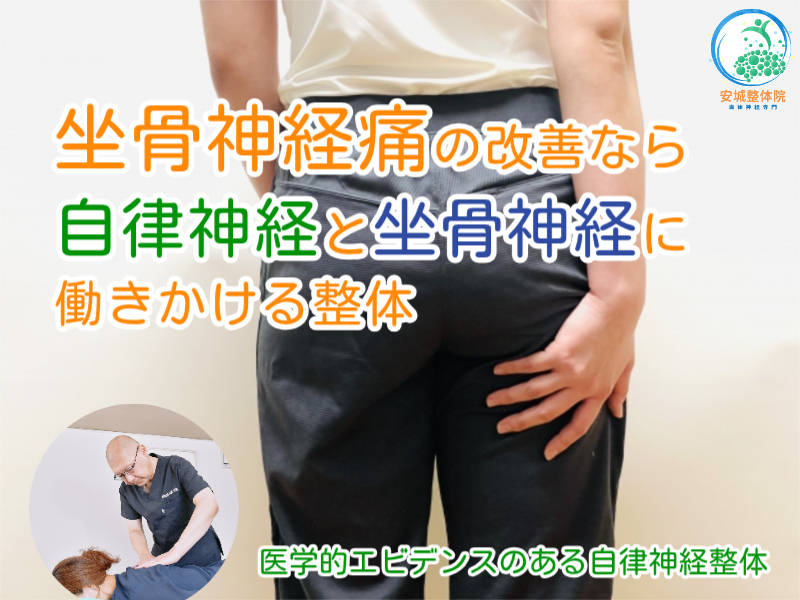 坐骨神経痛の改善なら安城整体院へ