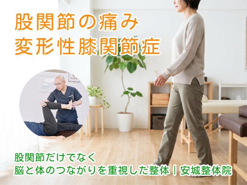 安城市で股関節の痛み・変形性股関節症なら安城整体院