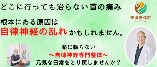 首の痛み 頚椎症 改善 安城市 刈谷市 知立市の自律神経専門 整体なら 安城整体院
